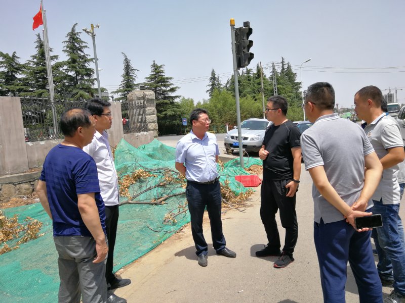 赵涛到机场路现场办公协调解决问题